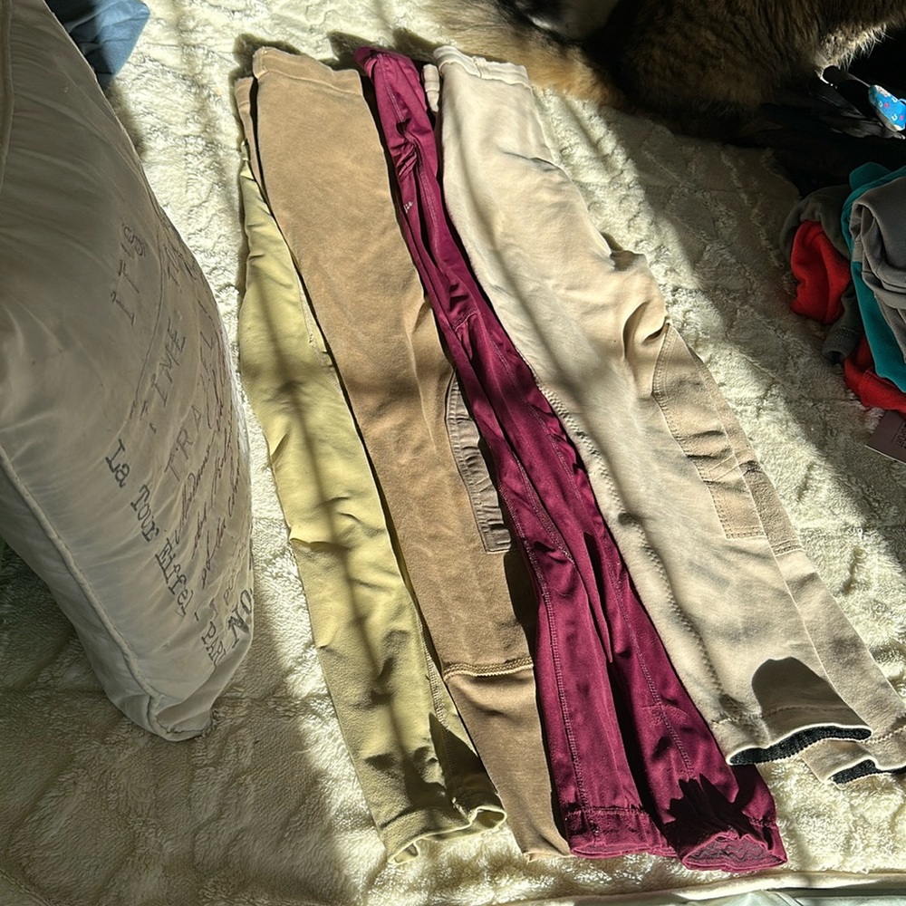 Pack of 4 size large equine pants